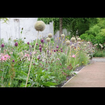 BOTANISCHE TUIN - ANTWERPEN (1)